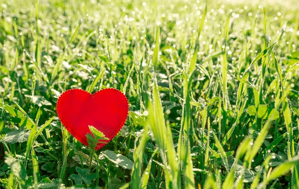 小红心在草地上 情人节的概念 自然之爱 — 图库照片