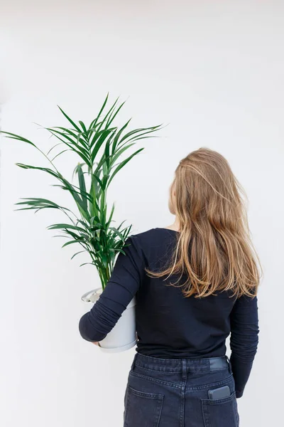 Junge Frau Hält Zimmerpflanze Topf Areca Palme Spinnenpflanze Und Rhipsalis — Stockfoto