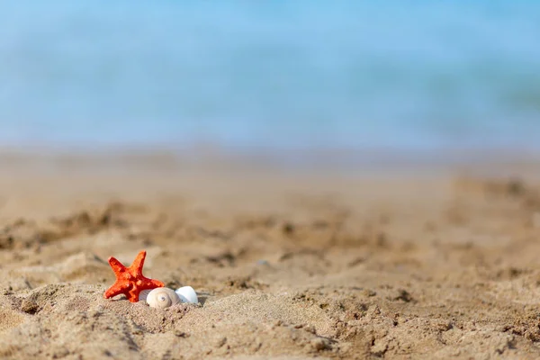 Пляж Морской Звездой Песке Копирайт Текста Концепция Летнего Отдыха — стоковое фото