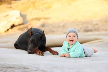 Küçük erkek çocuk birlikte yatıyor ve büyük siyah doberman birlikte. Dostluk kanatlı hayvan ve insan konsepti.