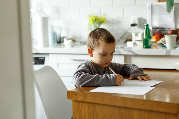 Niño Haciendo Tarea Sentado Mesa Cocina Estilo Vida —  Fotos de Stock