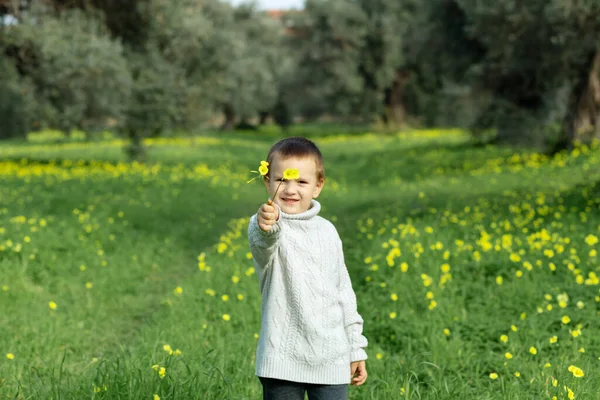 幸せな笑顔の少年が黄色い畑で花を集める トーニングで画像 花の花束を保持します 母の日の概念 — ストック写真
