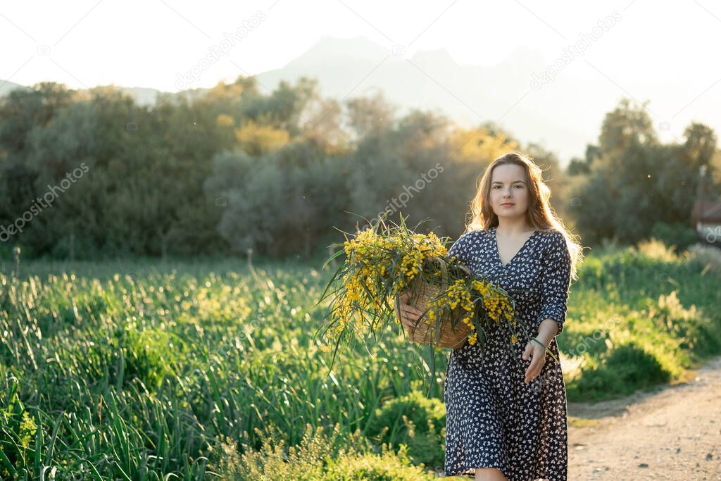 Tranquil summer in countryside. Stylish young woman in blue vintage dress and hat walking with straw basket at yellow wheat field. Beautiful girl with white acacia bouquet.