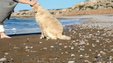  Köpeğiyle koşan tanınmayan bir kadın, sahilde kumla ıslanan bir köpek. Tatilin tadını çıkaran, evcil hayvanıyla eğlenen bir kız. Yüksek kaliteli FullHD görüntüler