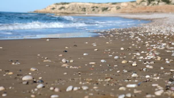 Bred sandstrand och böljande havsvågor med vita tjocka skummande veck under blå Cypern kust himmel — Stockvideo
