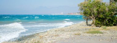 Kıbrıs adasında büyüyen palmiye ağaçları ve deniz manzaralı ıssız bir sahil manzarası var.