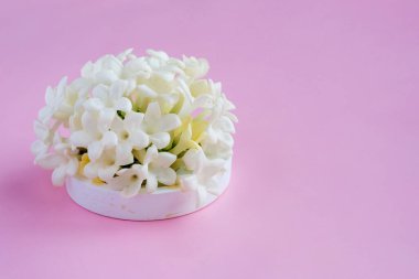 Pastel pembe arka planda güzel beyaz çiçekler. Kadınlar Günü, Anneler Günü, Sevgililer Günü, Düğün, Paskalya. Yan görünüm, boşluk kopyala, çerçeve
