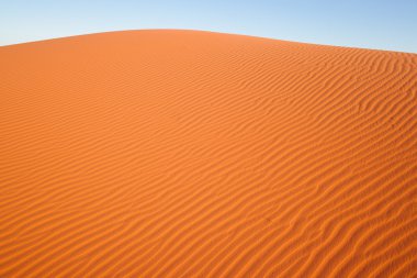 Sandy desert landscape clipart