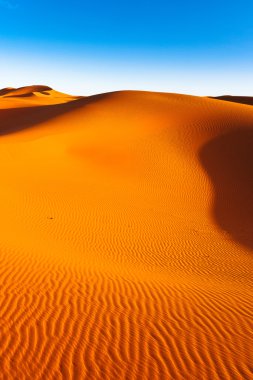 Sandy desert landscape clipart