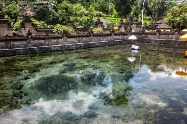 Endonezya 'nın Bali Adası' ndaki kutsal bahar.