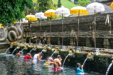 Endonezya 'nın Bali Adası' ndaki kutsal bir baharda içecek.