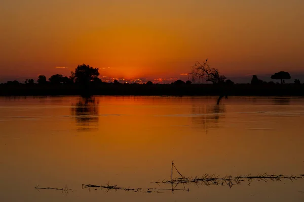 Solnedgång Okavango Delta Botswana — Stockfoto