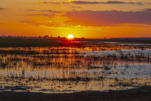 Pôr Sol Okavango Delta Botsuana — Fotografia de Stock