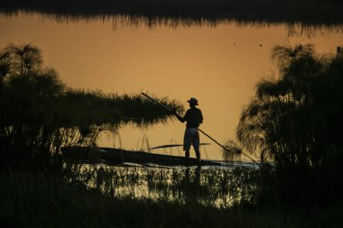 Okavango Delta 'da günbatımı