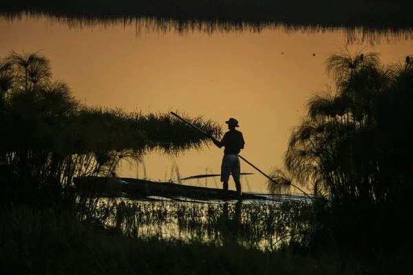 Západ Slunce Deltě Okavango — Stock fotografie