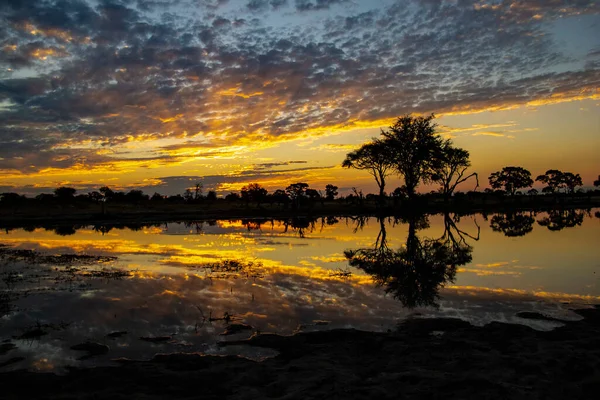 Západ Slunce Deltě Okavango Botswany — Stock fotografie