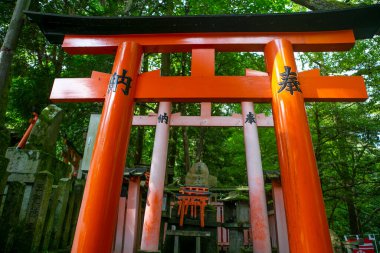 Japonya, Kyoto 'daki En Ünlü Tapınak...