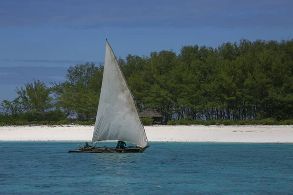 Tradiční Plachtění Lodní Dhow Pobřeží Ostrova Zanzibar — Stock fotografie