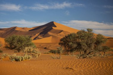 Namib Naukluft Ulusal Parkı 'ndaki kum tepeleri