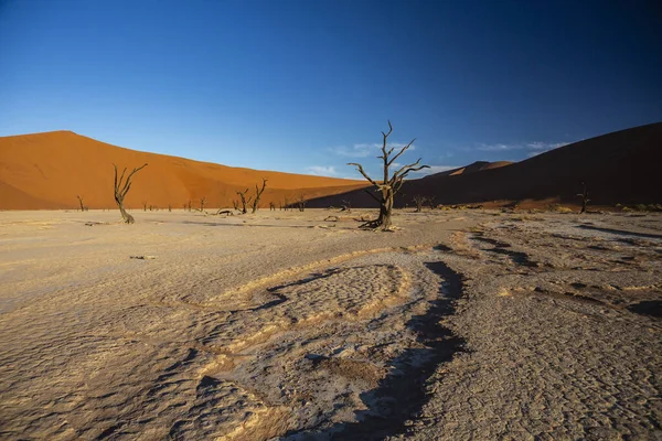 Zandduinen Namib Nationaal Park Naukluft Namibië — Stockfoto