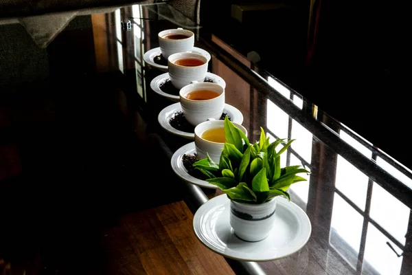 Teeblätter Und Schwarzer Tee — Stockfoto