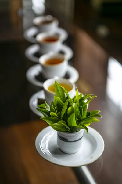Čaj Listy Černý Čaj Služby — Stock fotografie