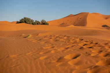 Güney Fas 'ta Sahra Çölü' ndeki kum tepeleri
