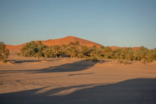 Zandduinen Sahara Woestijn Zuid Marokko — Stockfoto