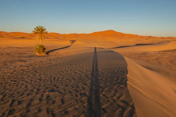 Zandduinen Sahara Woestijn Zuid Marokko — Stockfoto