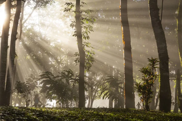 마야시 렝케에 빛줄기들 멕시코 — 스톡 사진