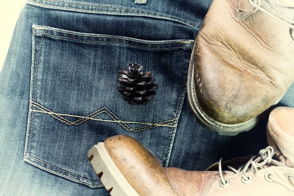 Conos de pino y botas en jaens fondo .effect estilo vintage —  Fotos de Stock