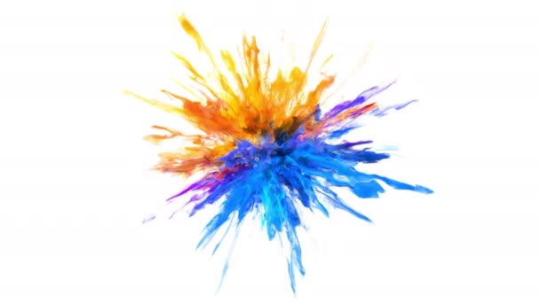 Цветной взрыв - цветной взрыв порошка дыма частицы жидкости чернил альфа-канал — стоковое видео