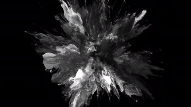 爆発グレー色バースト煙粉末グレー流体インク粒子アルファマット — ストック動画
