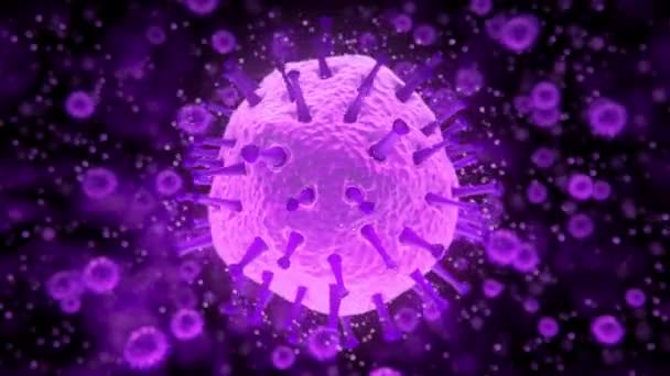 2019-nCov COVID-19 koronawirus różowy fioletowy wirus korony komórki grypy 2020 — Wideo stockowe