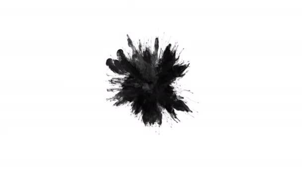 Black Color Burst - poudre de fumée explosion particules d'encre liquide alpha mat — Video