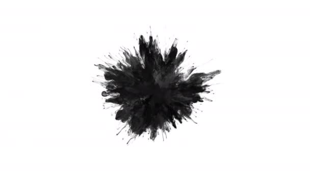 Cor Explosão preto fumaça pó explosão fluido tinta partículas alfa fosco — Vídeo de Stock