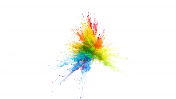 Barva Prasklý duhový vícebarevný duhový prášek výbuch stopy částic — Stock video