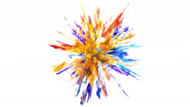 Color Burst - partikel tinta cair ledakan bubuk asap berwarna-warni saluran alfa — Stok Video