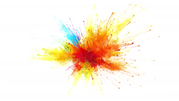 Warna Burst warna warni ledakan bubuk pelangi partikel tinta cair — Stok Video