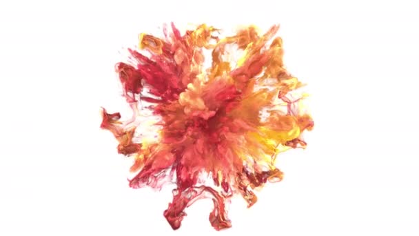 Cor explosão colorido fumaça pó onda de choque explosão fluido tinta partículas alfa — Vídeo de Stock
