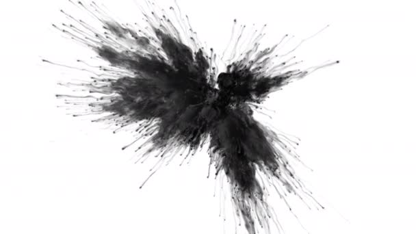 Взрыв цвета - взрыв дымового шара частицы жидкости чернил альфа-мат — стоковое видео