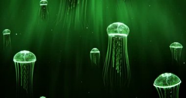 Deep Sea 4 k döngü yeşille Yüzme denizanası renk düzeni