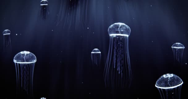 Medusas azules nadando en profundo océano oscuro 4k Loop — Vídeos de Stock