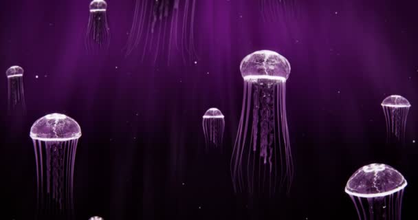 Jellyfish Natação em Deep Ocean 4k Loop esquema de cor roxa — Vídeo de Stock