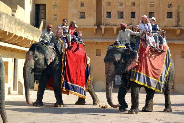 Hindistan, kehribar kalesi, mimari, saray, fil