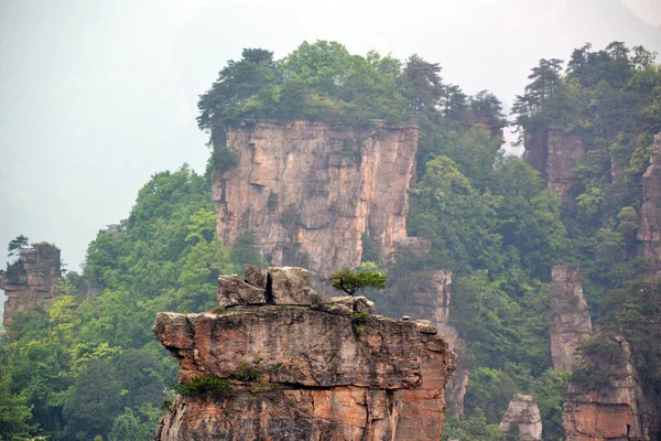 アバター山 崖の上に松 — ストック写真