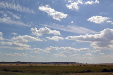 Yaz manzarası, tarlada bulutlarla kaplı gökyüzü