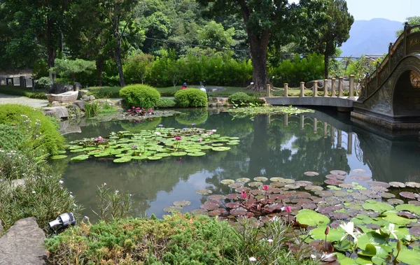 China Taiwan Schilderachtige Vijver Het Park Met Waterlelies — Stockfoto