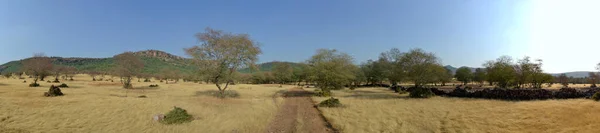 Indien Rohtambor Naturschutzgebiet Landschaft — Stockfoto