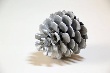 Gümüş kozalak yakın çekim